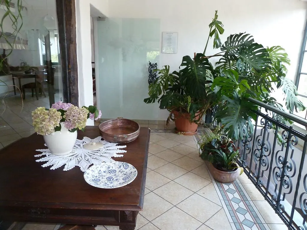 Villa Plasa Zaluki 0*,