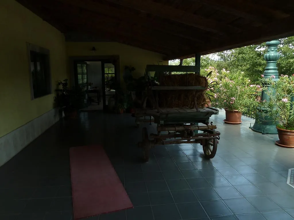 Villa Plasa Zaluki Croatia
